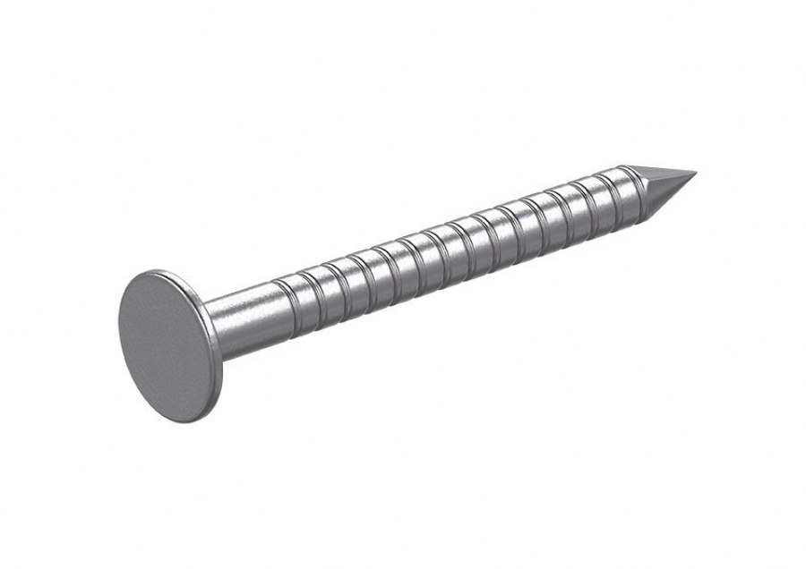 Stainless Annular Ring Shank Nails | Other Specialist Stainless Fixings |  Roofing & Cladding Fixings | Fixing Point